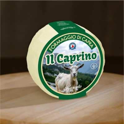 Caprino